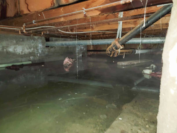 Water damage restoration mold remediation in IL