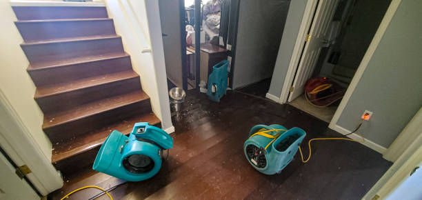 Best Commercial water damage restoration  in Preston Heights, IL