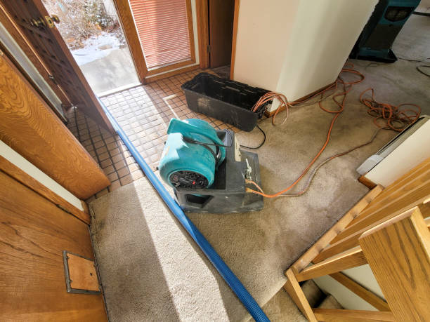 Best Professional water damage repair  in Preston Heights, IL
