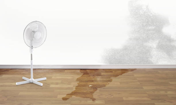 Best Water damage restoration insurance claims  in Preston Heights, IL