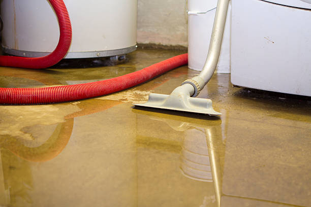 Best Flooded house restoration  in Preston Heights, IL