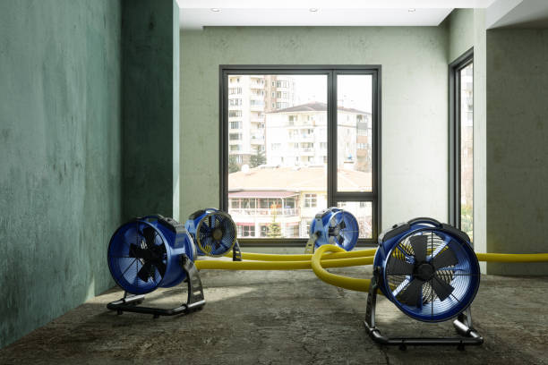 Best Water damage restoration near me  in Preston Heights, IL