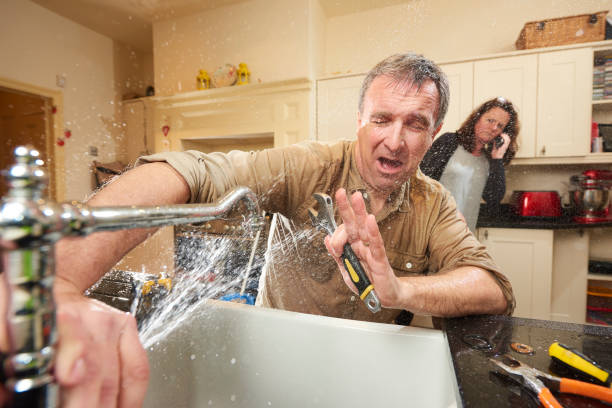 Best Water damage cleanup near me  in Preston Heights, IL